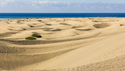 Unique desert area with sea on the background in Maspalomas sand dunes, Spain. Arid landscape at popular landmark in Canary Islands. Tourist attraction, travel destination, summer holidays concepts