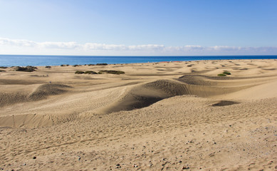 Fototapeta na wymiar Arid landscape in Maspalomas sand dunes, Gran Canaria. Tourism attraction, travel destination in Canary Islands, Spain. Summer vacation concept