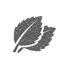 Basil leaves icon in grunge texture. Vintage style vector illustration.