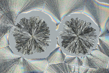Colorful micro crystals in polarized light