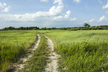 Sandy rural road through green fields.