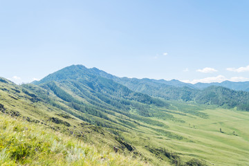 Fototapeta premium Summer altai mountains