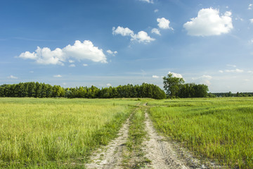 Fototapeta na wymiar Sandy road through green fields and meadows.
