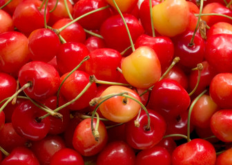 Sweet cherries close up.