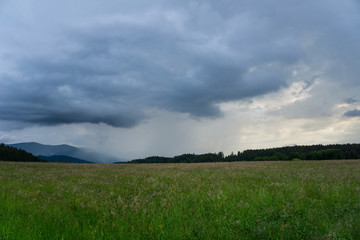 Obraz premium Germany, Black forest nature landscape in thunderstorm mood