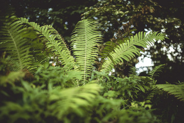 Botanischer Garten Greifswald