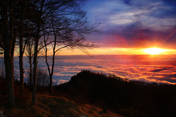 Tramonto sopra le nuvole con alberi