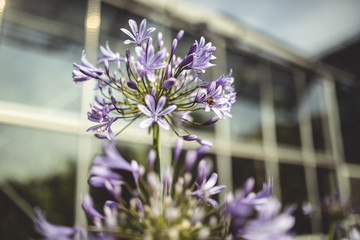 Botanischer Garten Greifswald