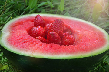 Half of the fleshy ripe watermelon seedless with strawberries lie on the grass. continuous cycle of maturation, good harvest, vitamins, healthy food