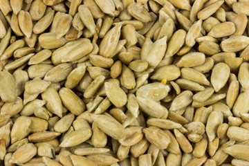 sunflower seeds Background. Salty food for beer