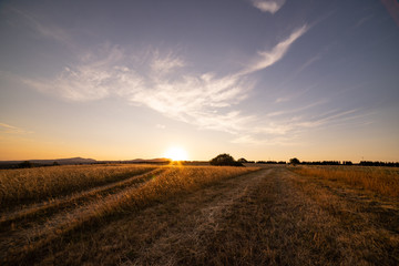 Sommerlicher Sonnenuntergang auf den Feldern