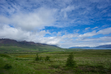 Iceland - Endless green landscape with snow covered mountains