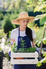 Gardening concept. Beautiful young woman gardener with flowers in wooden box