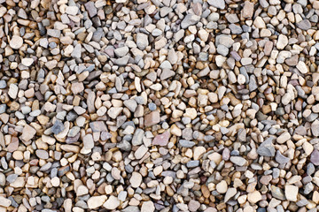 background of a fine smooth multicolored sea pebbles.