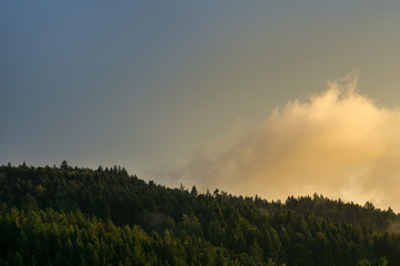 Germany, Black Forest, Freiburg, Sunlight in fog clouds over trees in autumn