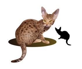 Bengal cat vector illustration isolated on white background