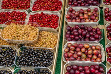 Boxes of fresh berries at a farmers' market in Munich in Germany - 1