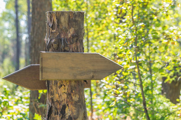 Road sign on a wooden pole in the forest