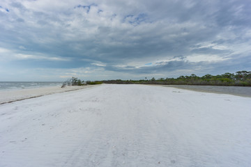 USA, Florida, Perfect white sand at beach of honeymoon island with green trees and dramatic sky