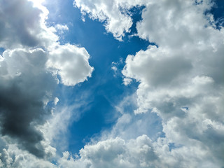 Background pattern with white sky in the summer season