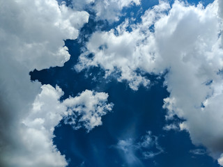 Background pattern with white sky in the summer season