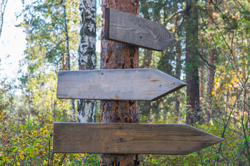 Road sign on a wooden pole in the forest