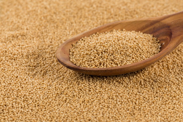 amaranth grain closeup