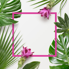 creative tropical background with exotic leaves and pink turmeric flowers, blank pink frame with...