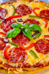 Pepperoni Pizza. Fresh homemade pizza.