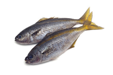 タカベ
