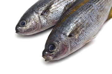 タカベ