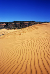 Coral pink sand dunes, Utah