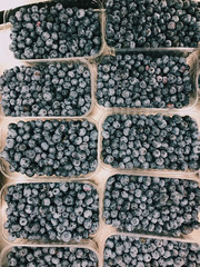 fresh organic natural blueberry in boxes