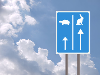 Fast and slow lanes for tortroise aka turtle and hare, business success concept. White background. UK colour blue sign. © Mushy