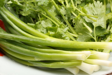 Fresh cilantro leaves and onion leaves on the plate. Food ingredients