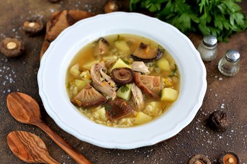 Organic soup with dried mushrooms, chicken meat, rice, potatoes, carrots and parsley.