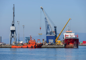 harbor cranes in loading at the port