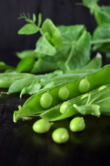 Green pea pods against the dark background