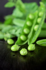 Green pea pods against the dark background