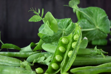 Fototapeta premium Green pea pods against the dark background