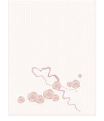 Strip with thread pattern light fabric with embroidery pattern made from pastel dusty roses and pink ribbon vector isolated on white background.