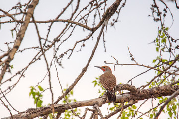 Bird perching on branch