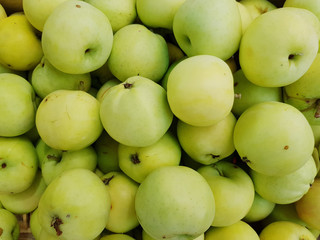 a lot of organic apples background