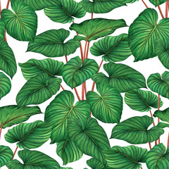 Watercolor painting green leaves,palm leaf seamless pattern on white background.Watercolor hand drawn illustration tropical,aloha exotic leaf for wallpaper textile Hawaii aloha jungle style pattern.