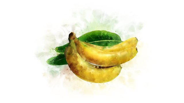 The Banana illustration appearance