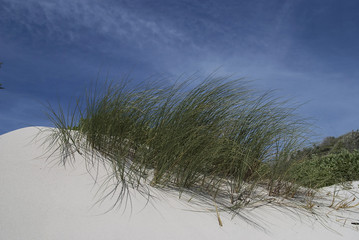 Sand dunes, South Africa
