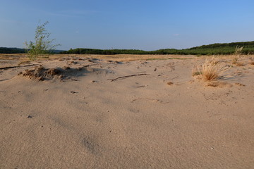 dry, arid, sandy area with line of greenery on horizon, desertifiaction of the Earth