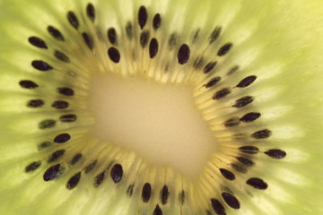 Kiwi fruit - close-up.