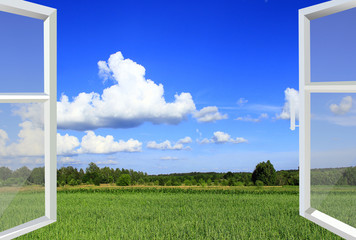 Opened window to summer field. Rural view