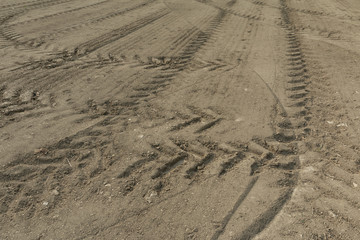 Spring Field Sown and Paved with Tractor